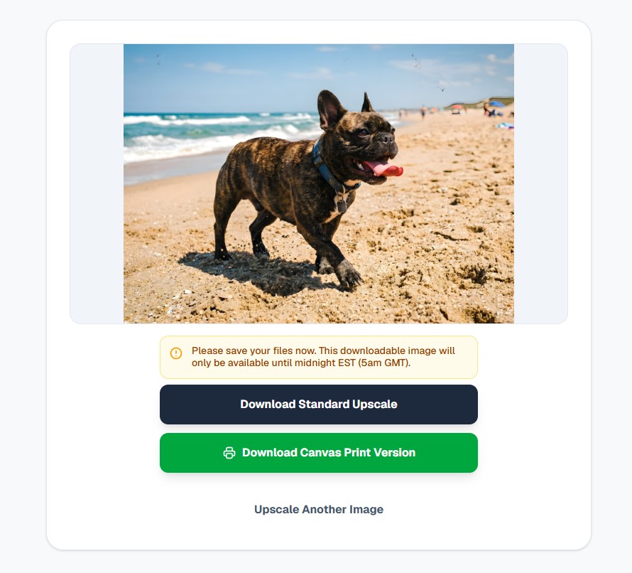 The download interface