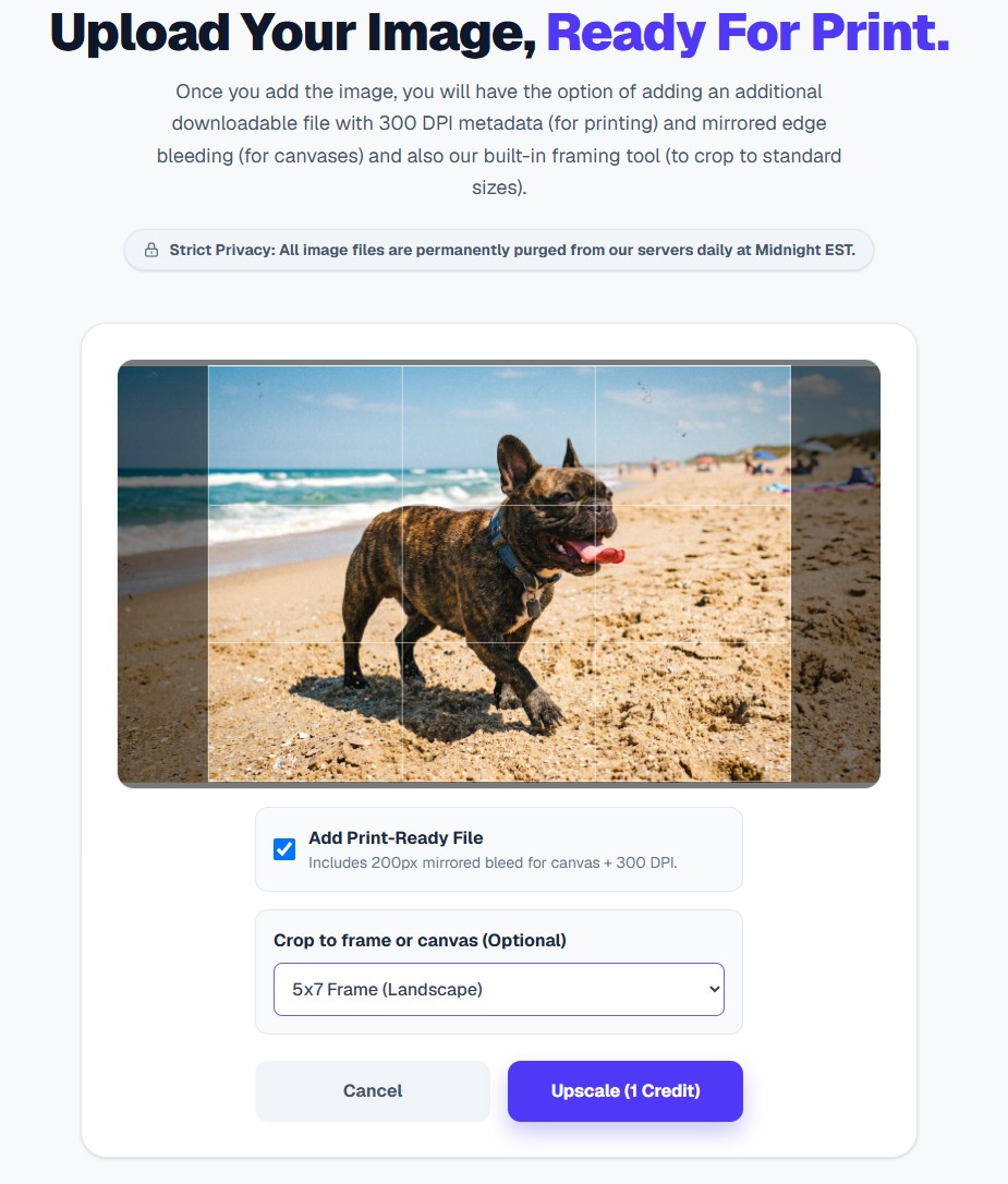 The upload and configuration interface